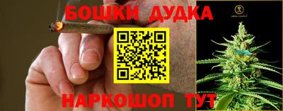 jwh Кингисепп