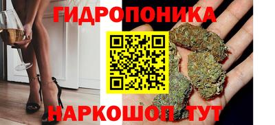 jwh Кингисепп