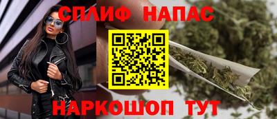 jwh Кингисепп