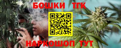 spice Кинель