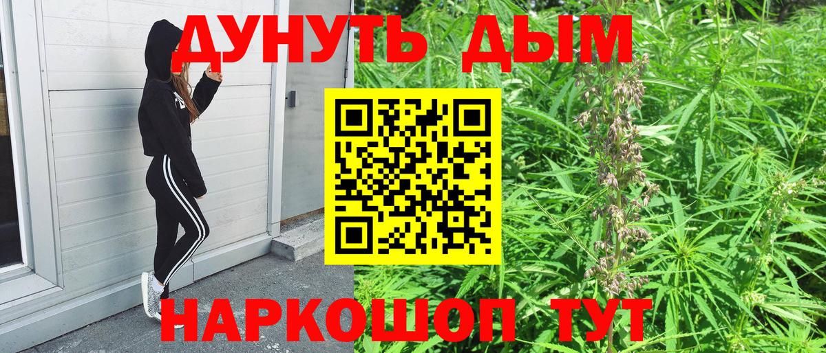 Бошки Шишки MAZAR  МАРИХУАНА планчик  Конопля семена  Кинель  Вход с VPN 